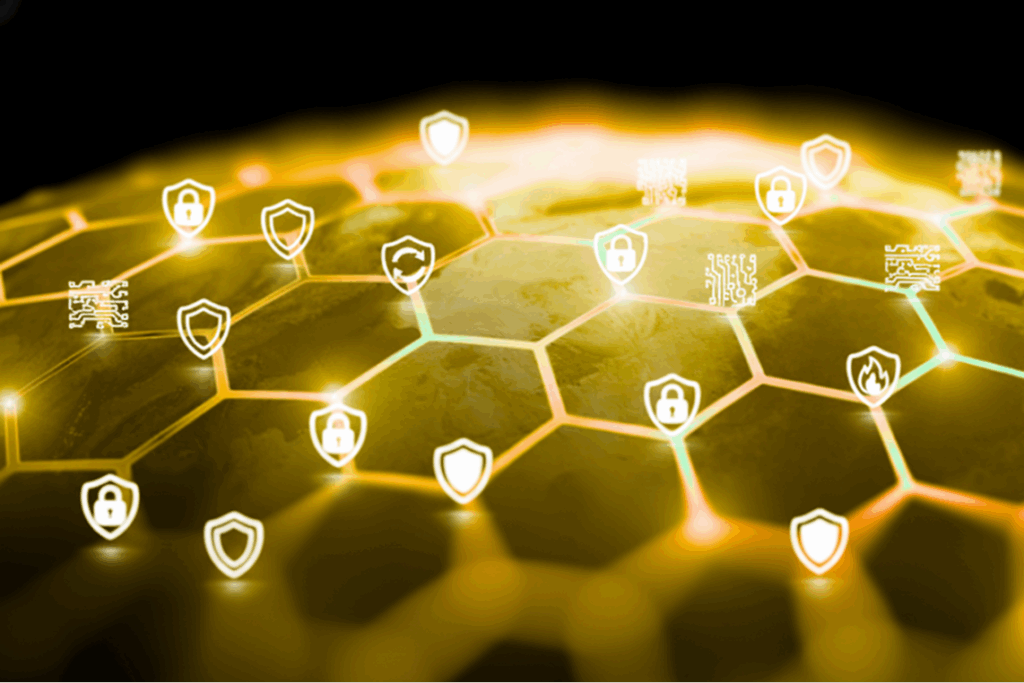 Shield Around the World Cyber 1