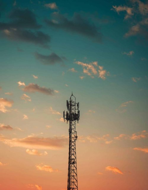 pexels-derlei-2081132 pexels-derlei-2081132