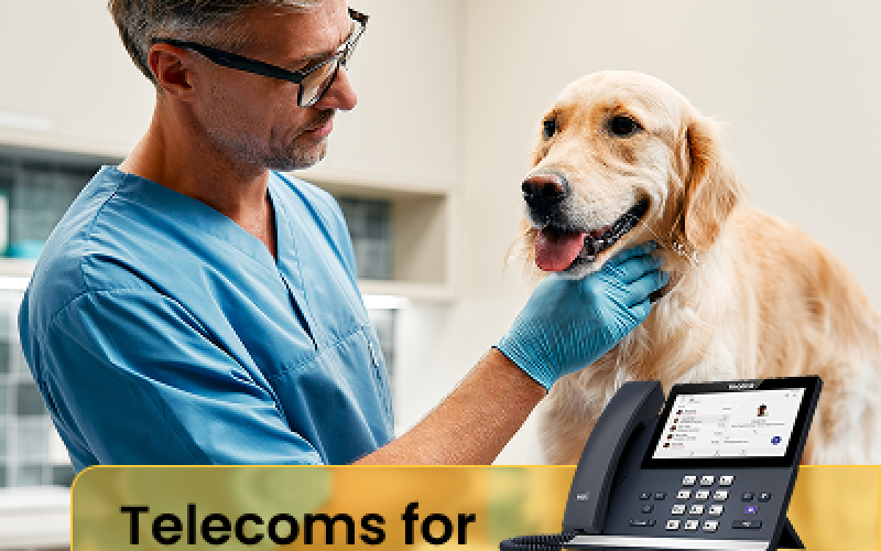 vet cover pic